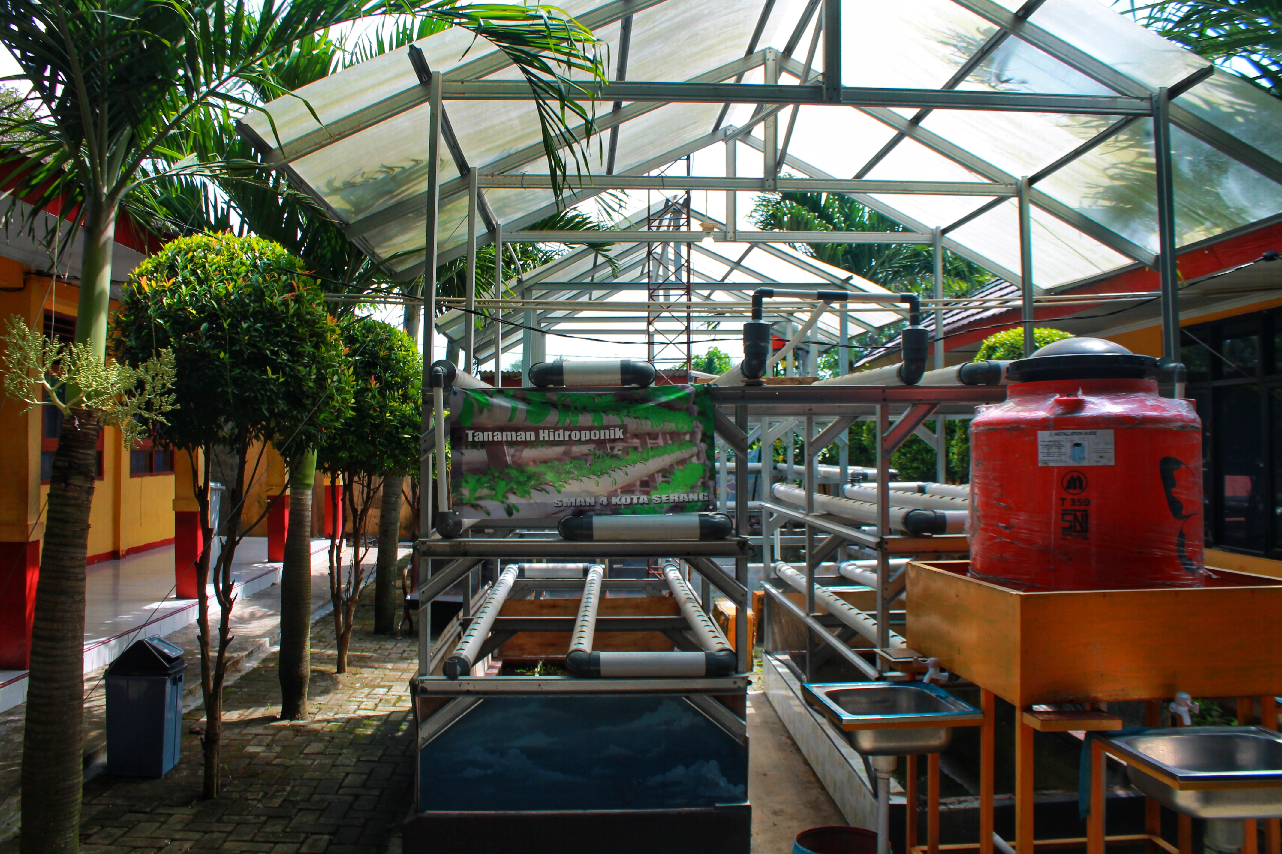 Taman Hidroponik